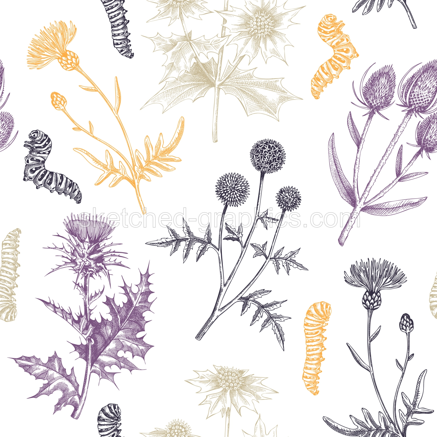 Summer background. Decorative thistle plants texture in sketch style. Hand drawn wildflowers seamless pattern. Dried plants drawing floral design for textile, fabric, wrapping paper, packaging  Illustration